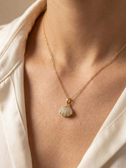 Hidden Treasure Shell Necklace